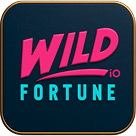 Wildfortune.io